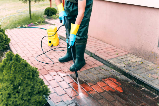 Best Dumpster Area Cleaning  in Lakes West, CT